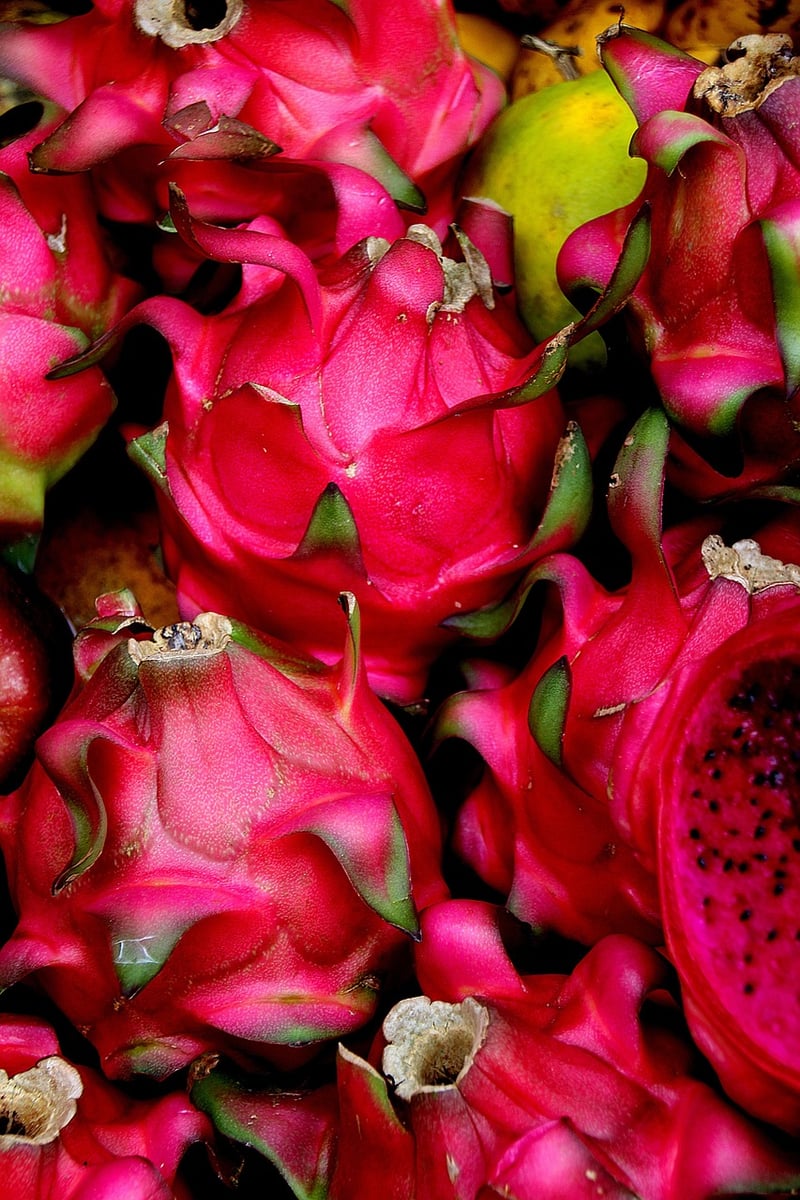 Exotic culinary experiences