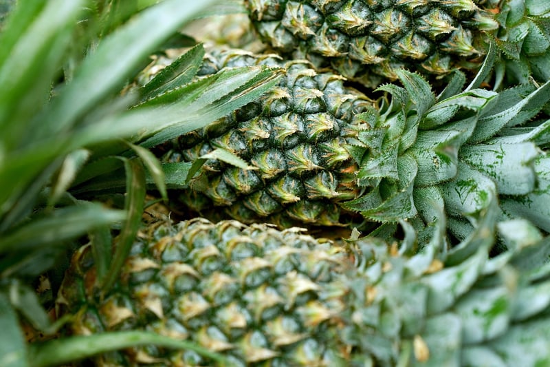 Fresh organic options